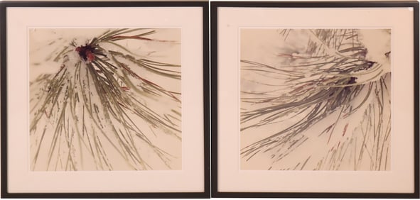 Snow Covered Pine Needles, Two Color Photographs