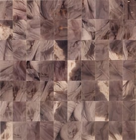 White Rocks, Photograph Collage