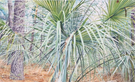 William M. Sullivan, American 1950-, Palm Tree Forest, Gouache and Watercolor