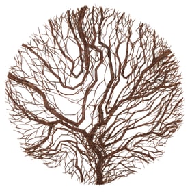 Attributed to Harry Bertoia, Michigan 1915-1978, Untitled, Welded Steel-Cut Nails