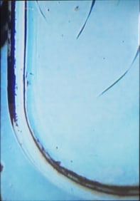 Colin Snapp, Seneca, C-print