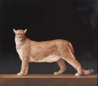 Patricia Traub, 1947, Cougar, 2017, Oil on Board