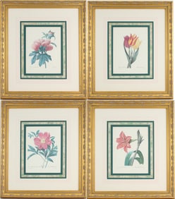Pierre Joseph Redoute, French 1759-1840, Four Botanical, Prints