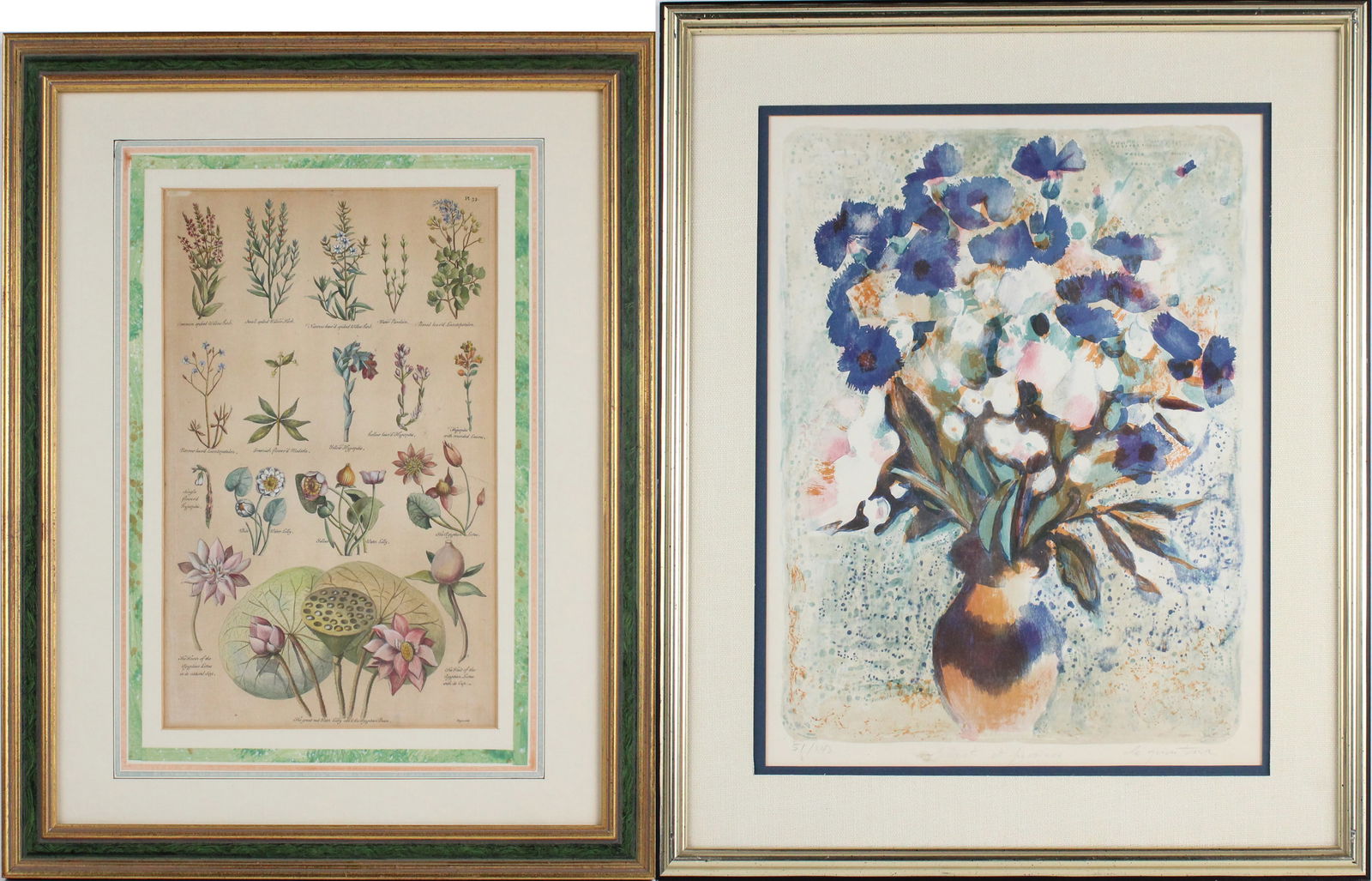 John (1716) Hill, 1716-1775, The British Herbal, Hand-Colored Engraving (1 of 11)