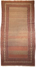 Saraband Rug