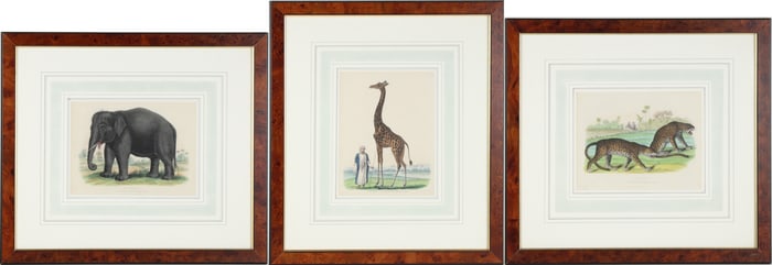 Three Exotic Animals, Hand-Colored Lithographs