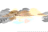 Carved and Painted Wingspread "Louisburg" Eagle