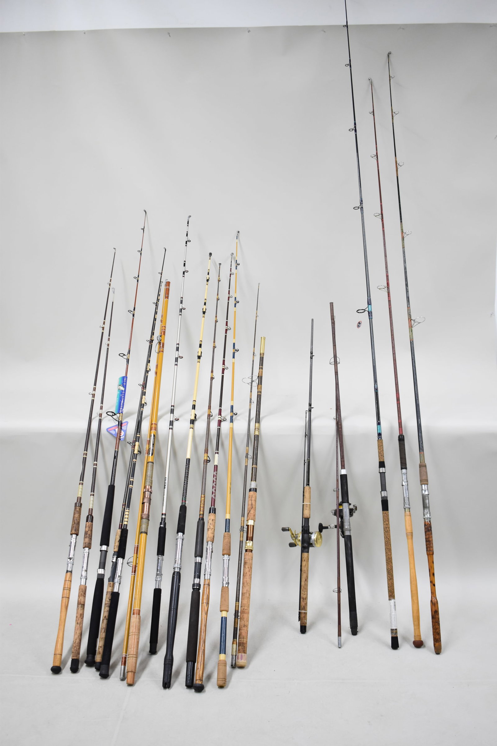 Group of Fourteen Assorted Fishing Rods (1 of 16)