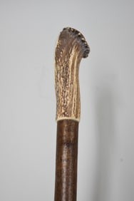 Antler Handled Birchwood Tall Walking Stick