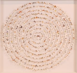 Rebecca Coles, Field Guide 4, 2017, Butterfly Silhouettes