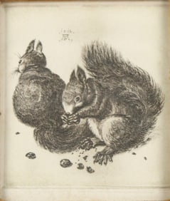 After Albrecht Durer, German 1471-1528, Squirrels, Woodcut