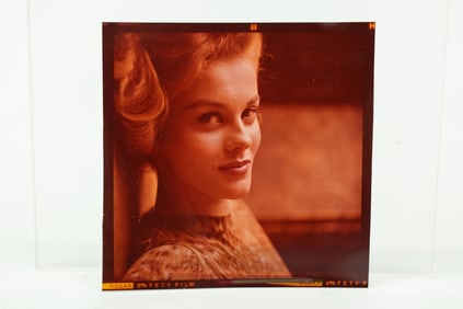 Vintage Ann Margaret Color Negative