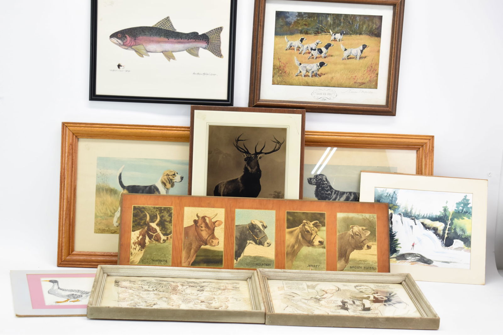 Group of Assorted Animal Prints (1 of 16)