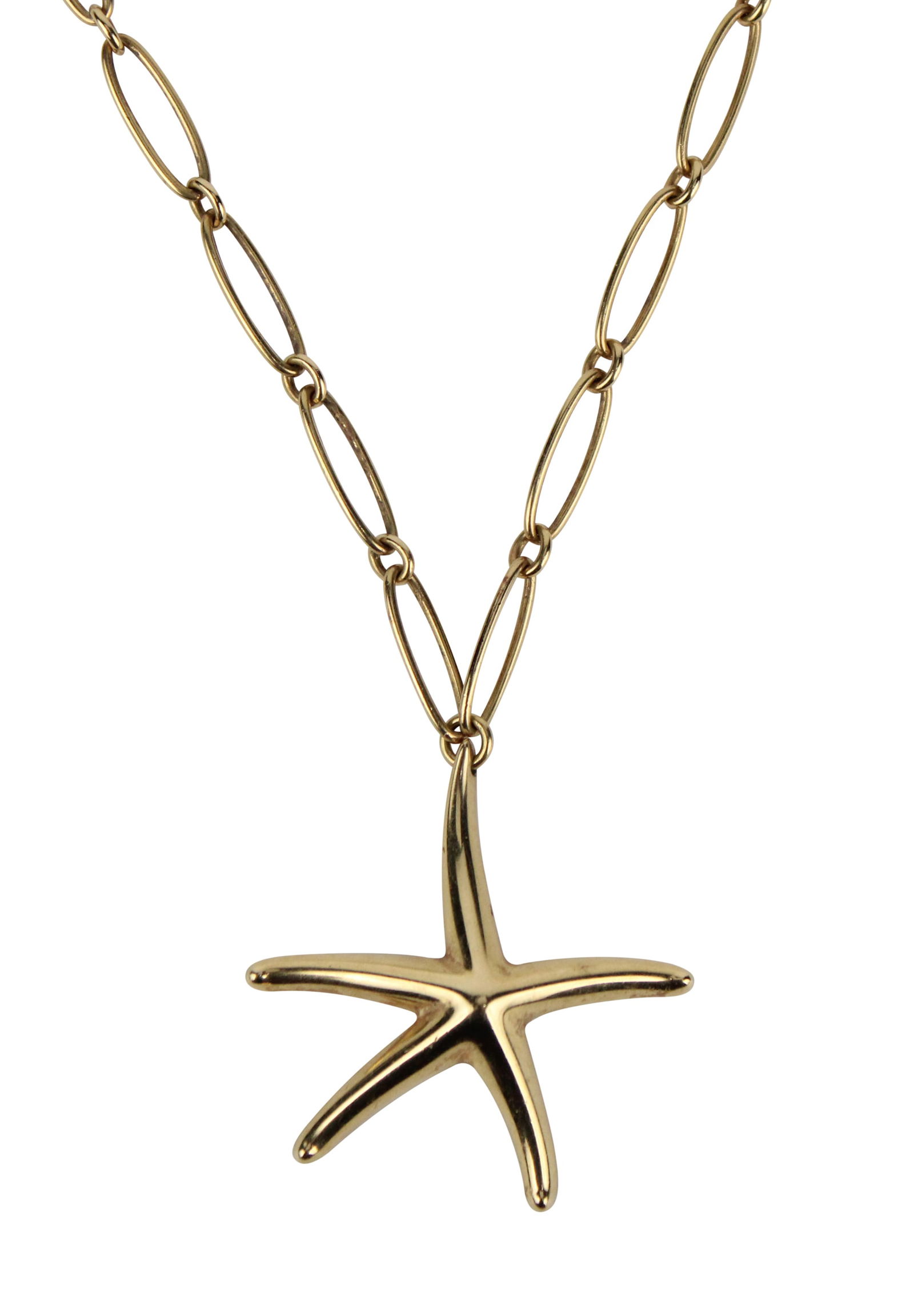 Tiffany 18K Elsa Peretti Starfish Gold Link Necklace (1 of 7)