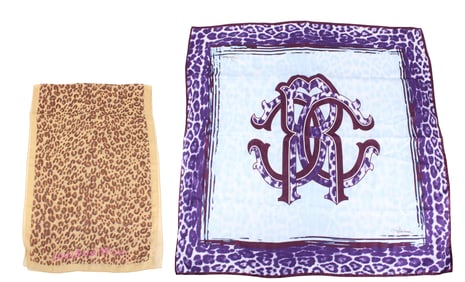 Louis Vuitton Stephen Sprouse Leopard Print Silk Scarf