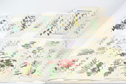 Antique Group of 30 Assorted Floral Book Plates