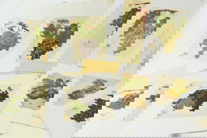 Antique Group Of Six Assorted Plums and Pear Lithographs