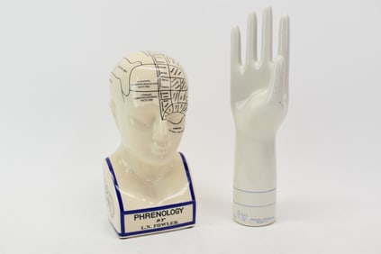 Reproduction Phrenology by L.N. Fowler Bust