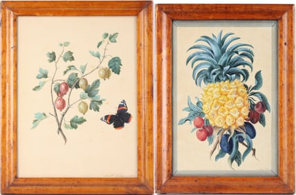 Therese Benda, Pineapple Still Life, Gouache on Paper
