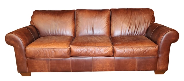 Contemporary Leather Sleeper Sofa