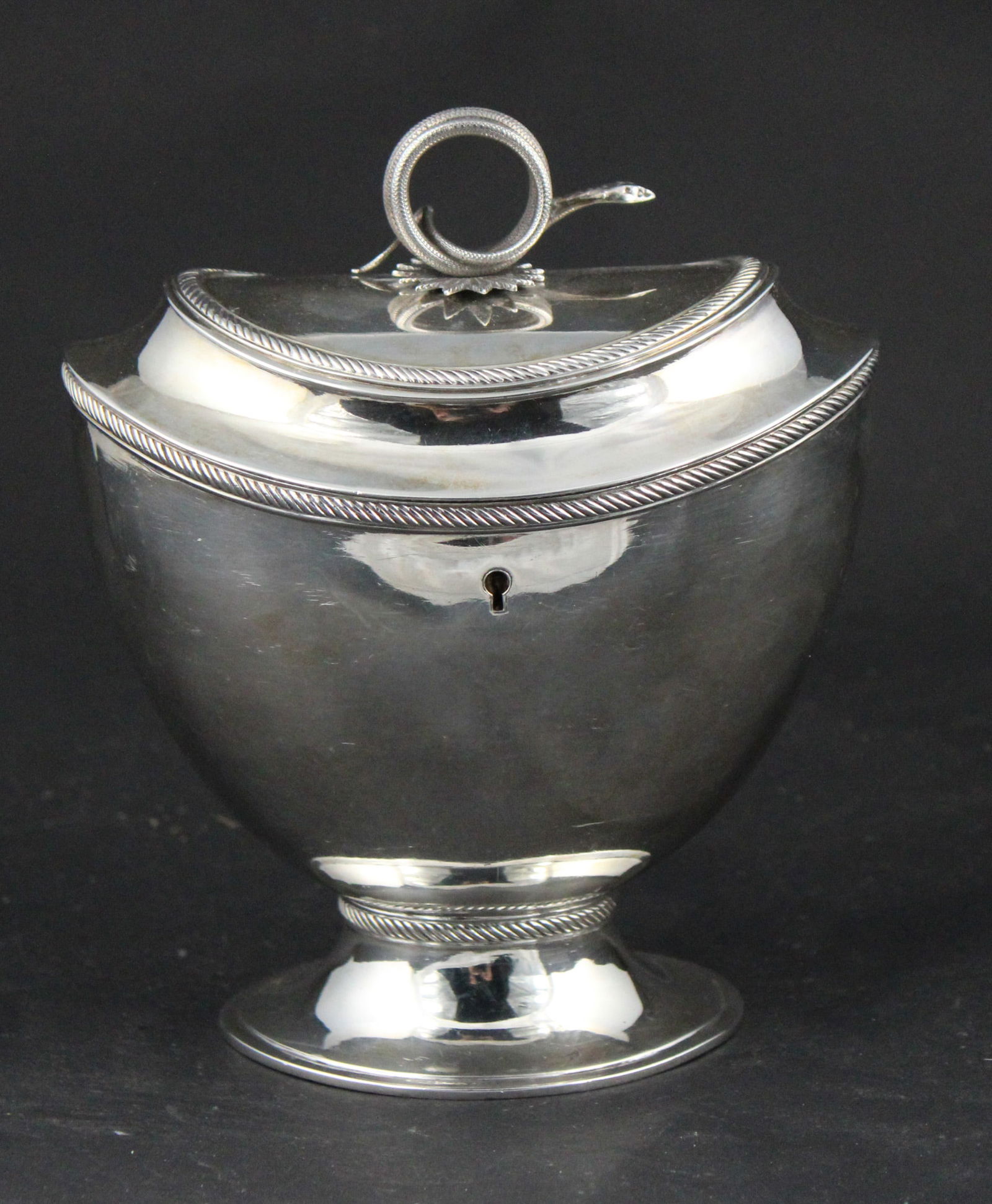 Dutch Neoclassical Silver Tea Caddy (1 of 11)