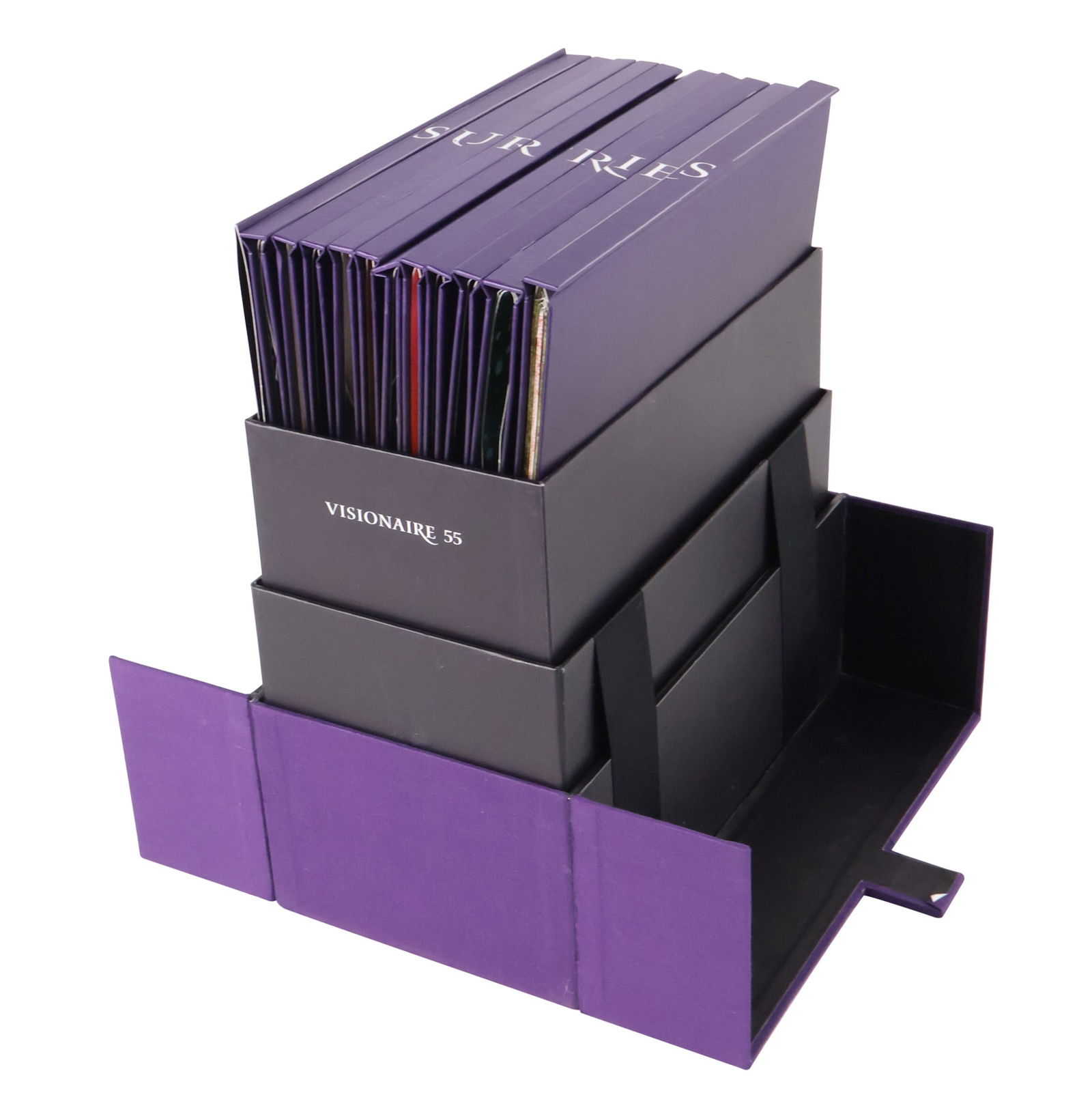 Visionaire 55 Pop Up Art Sculpture Book (1 of 12)