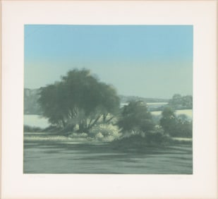 Peter Jogo, 1948-, Fox Hollow, Mezzotint