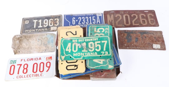 Large Lot of U.S. License Plates