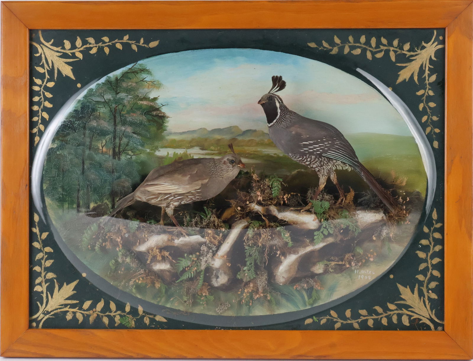 Taxidermy Quail Diorama: Taxidermy Quail DioramaOil painting background signed H. Miles, 1908.18 1/2 x 24 1/2 in. (47 x 62.2 cm.)