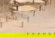 item-210497966=4