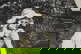 item-210498028=15