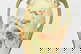 item-210498224=4