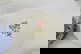 item-210498281=8