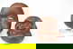 item-210498365=7