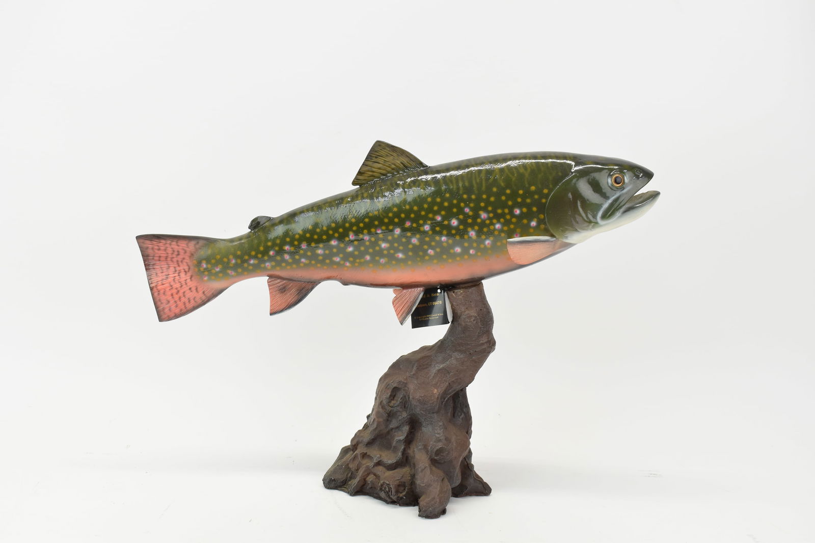 Land and Sea Brook Trout Statue: Land and Sea Brook Trout StatueLand and Sea Brook Trout Statue. Hand painted, used condition. Measuring 13" tall x 19" wide.13 x 19 in. (33 x 48.3 cm.)