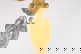 item-211180433=7