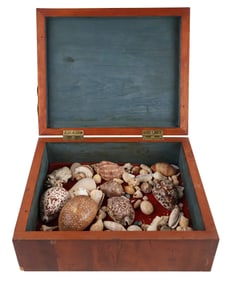 Vintage Hinged Mahogany Box with Seashells