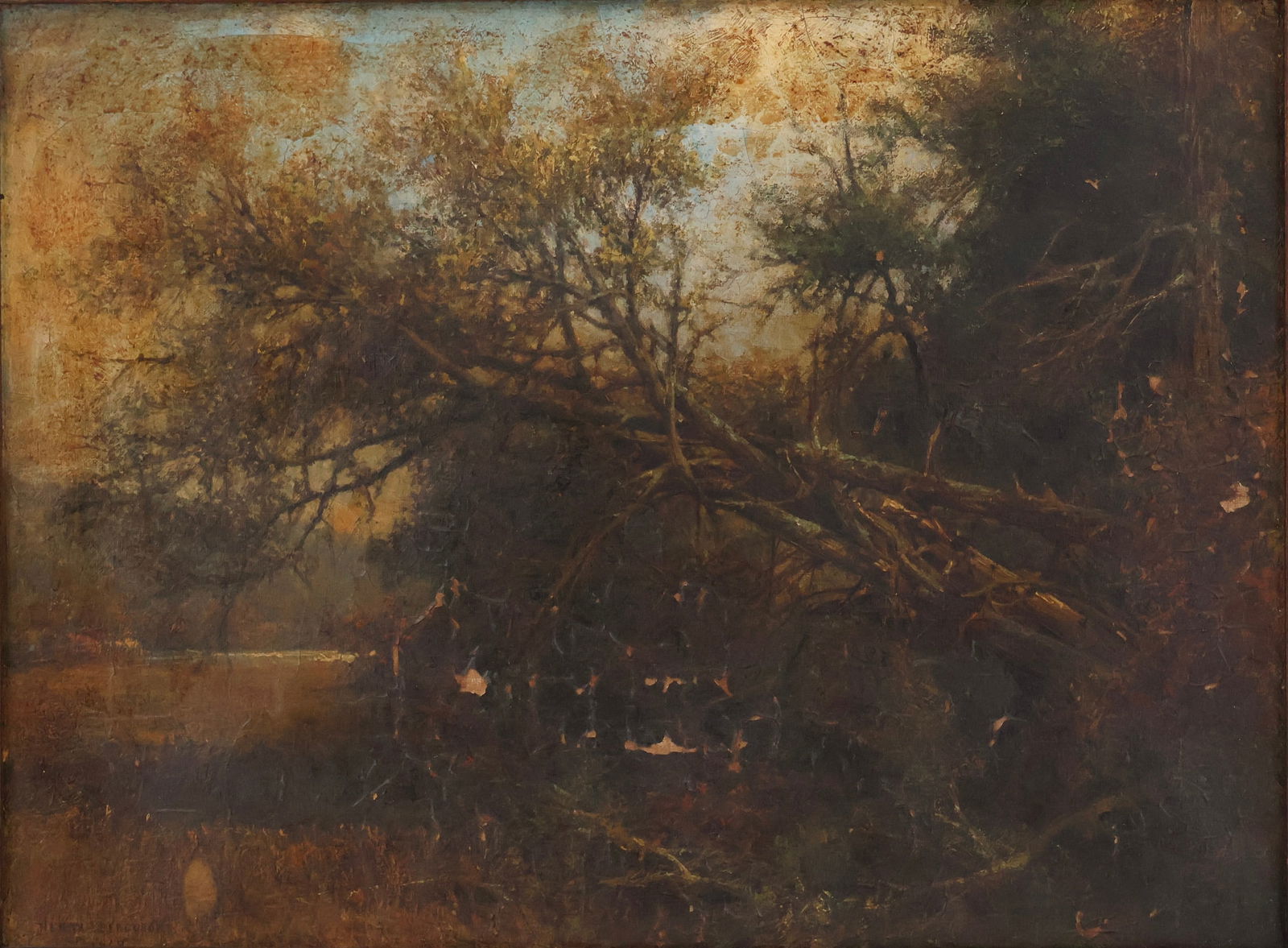 Henry Augustus Ferguson, New York 1845-1911, Group of Old Trees Hanging over lake in the (1 of 14)