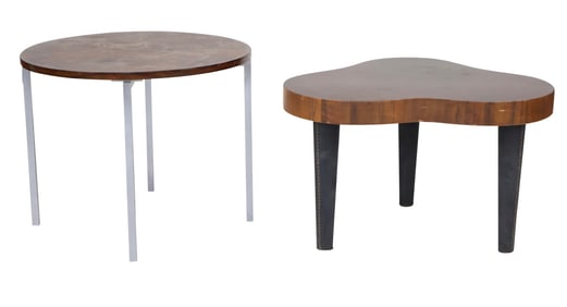 Mid-Century Modern Biomorphic Low Table