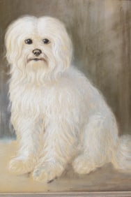 Vintage Maltese Chalk Drawing on Suede