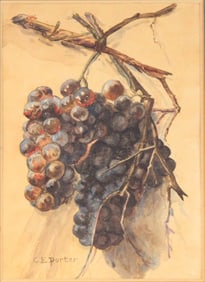 Charles Ethan Porter, 1847-1923, Grapes on Vine, Watercolor