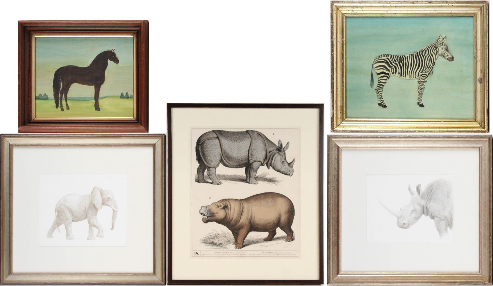 W. Parland, Rhinoceros and Hippopotamus, Hand Colored Print (1 of 16)