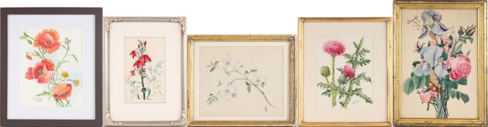 Five Botanical, Watercolors