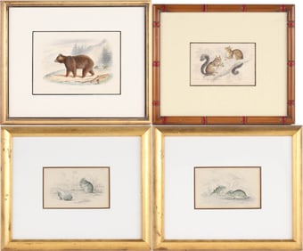 Four Animal, Hand-Colored Engravings