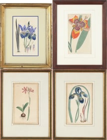Four Botanicals, Prints