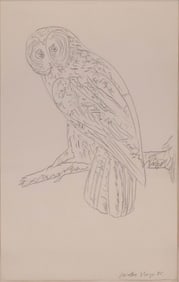 Owl on a Branch, Charcoal on Paper