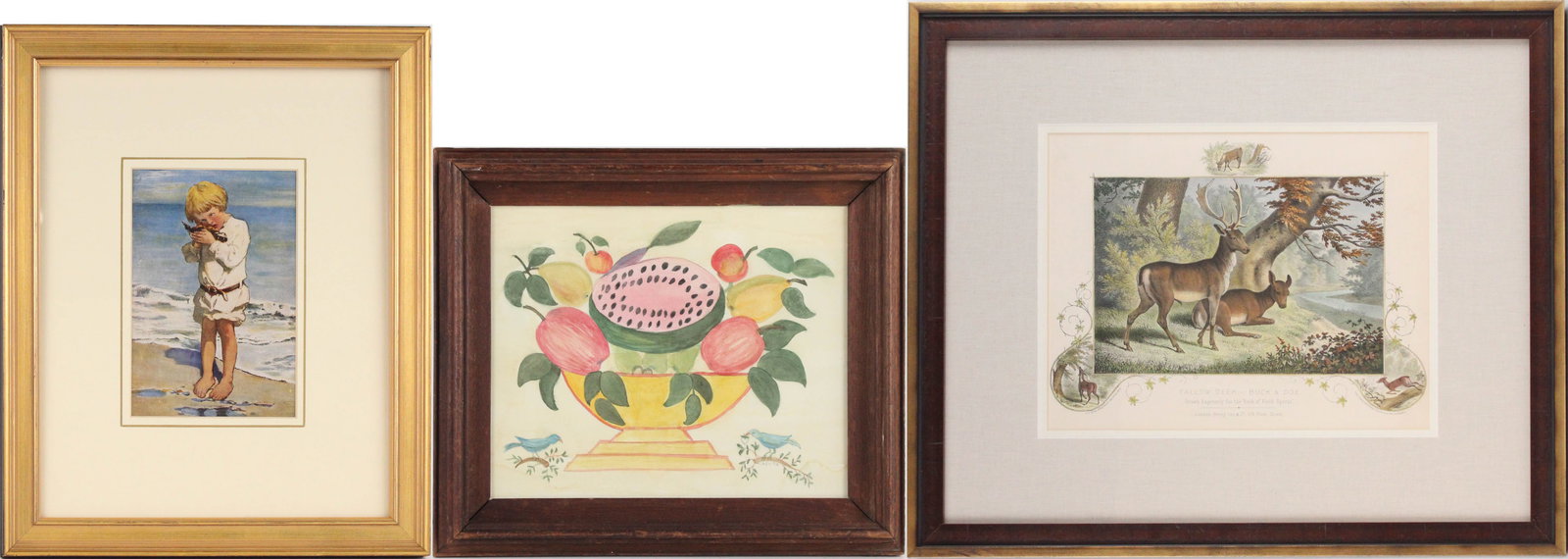 Fallow Deer, Hand Colored Engraving (1 of 16)