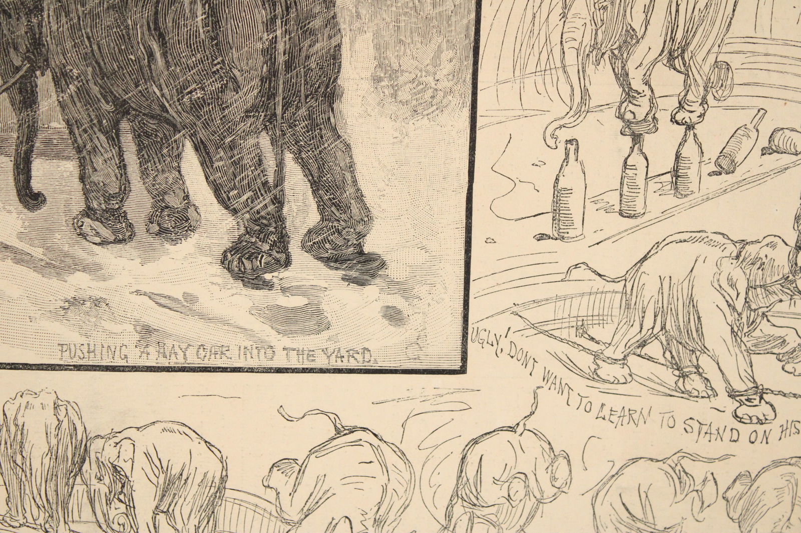 Three Harper's Weekly, Engravings - 8