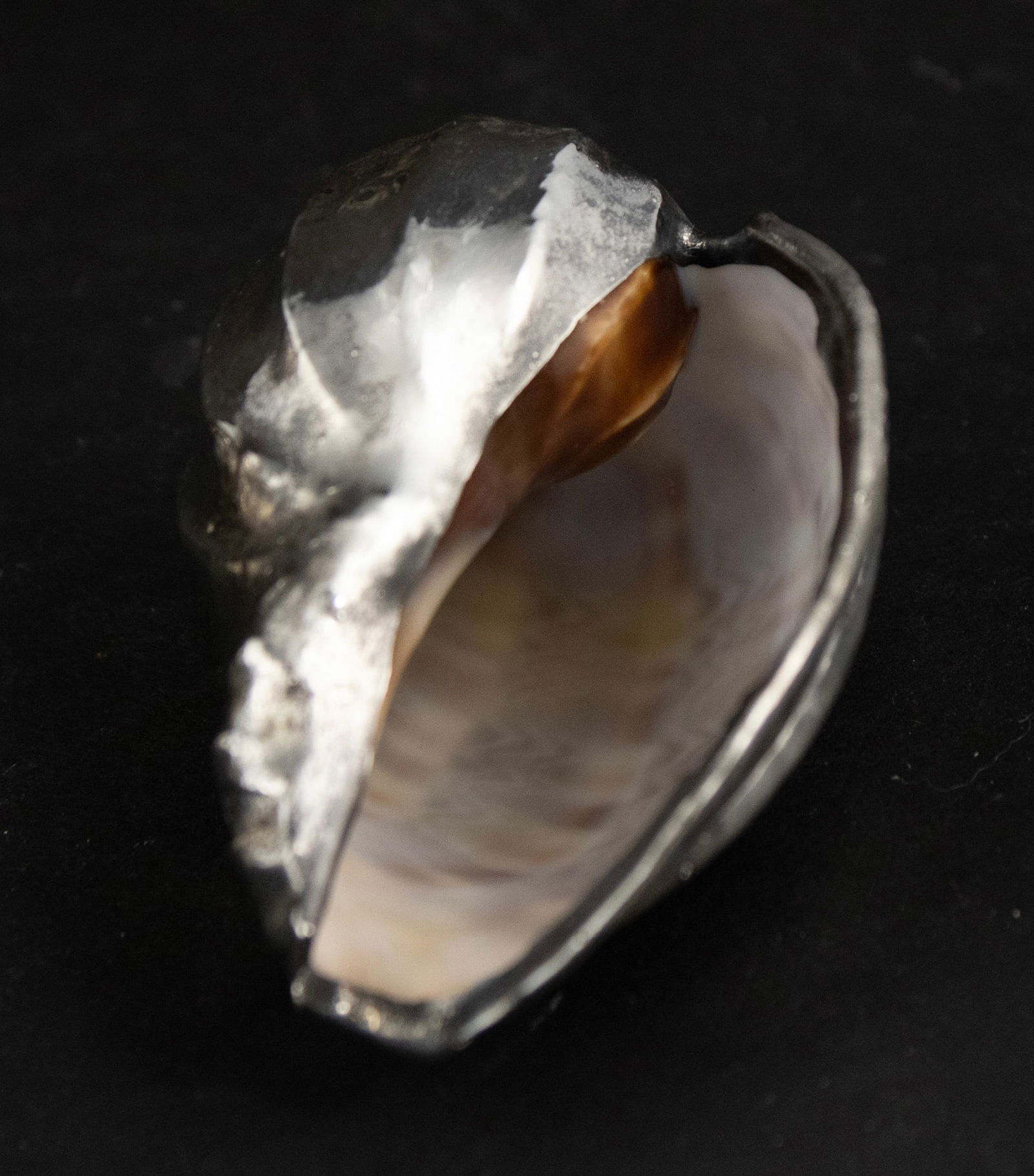 Whimsical Bee Hive Honey Pot - 5