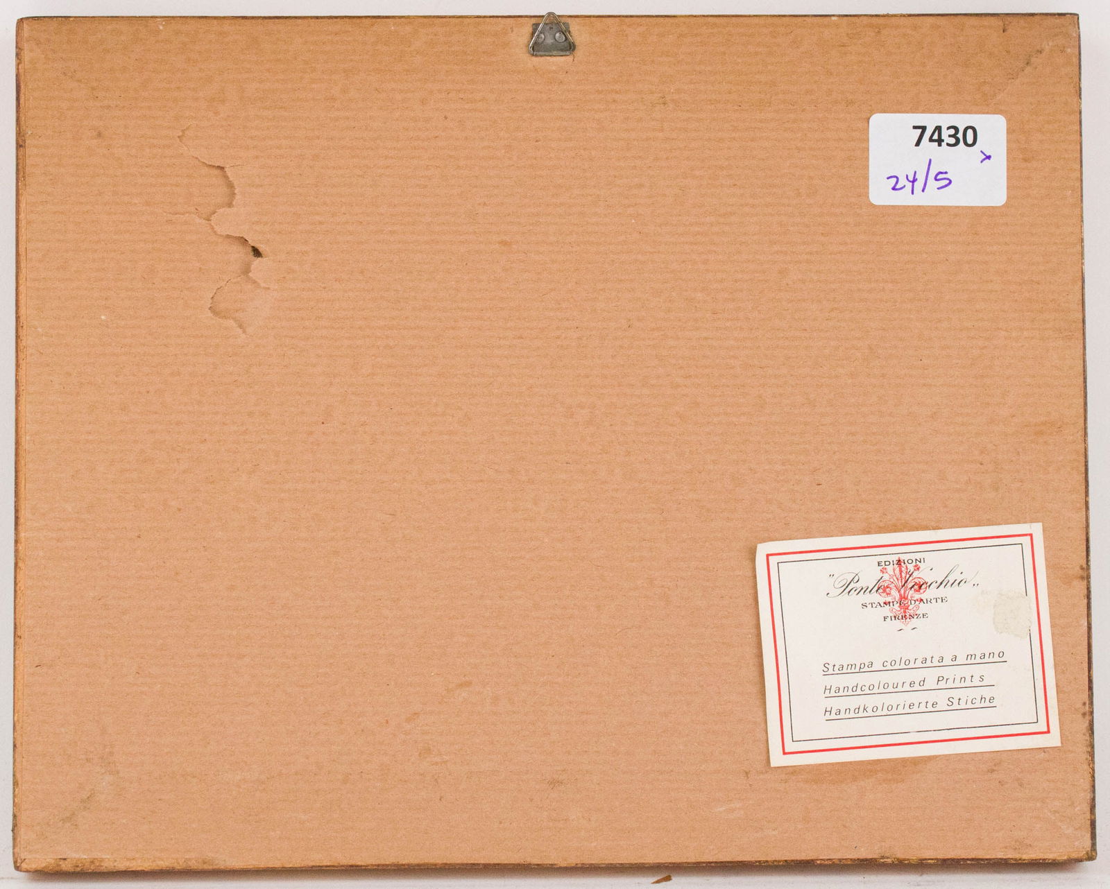 Five Botanical, Hand-Colored Engravings - 11